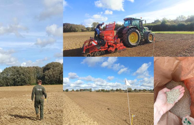 Essais CIVES - Cultures Intercalaires à Vocation Énergétique