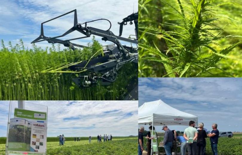 Récolte du chanvre en Wallonie - Hemp4Circularity - Valbiom Récolte du chanvre en Wallonie - Hemp4Circularity - Valbiom