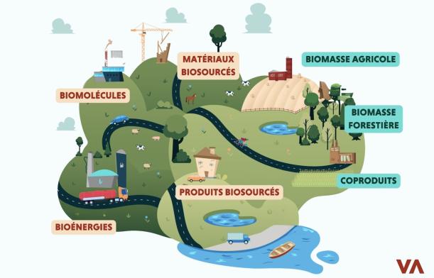 L'économie biosourcée selon Valbiom 